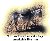 Donkeys are still preferred by 9 out of 10 prophets. 